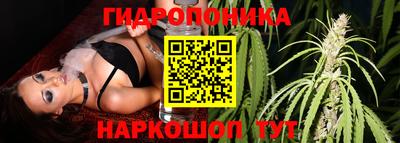 сатива Тула