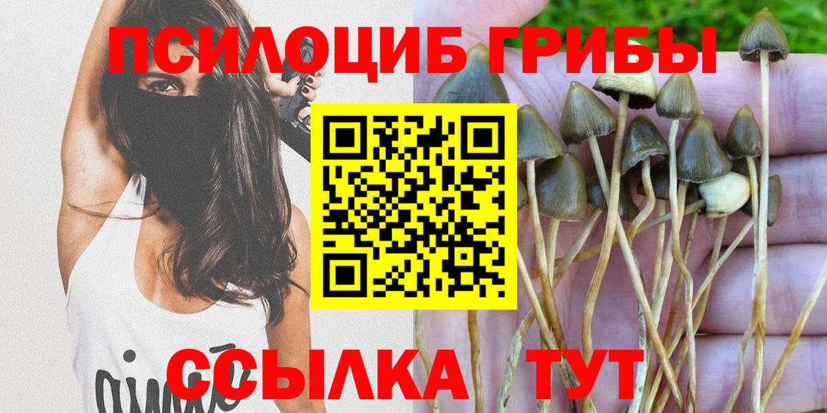 Псилоцибиновые грибы MAGIC MUSHROOMS  Псилоцибиновые грибы прущие грибы  Бор  Вход с VPN 